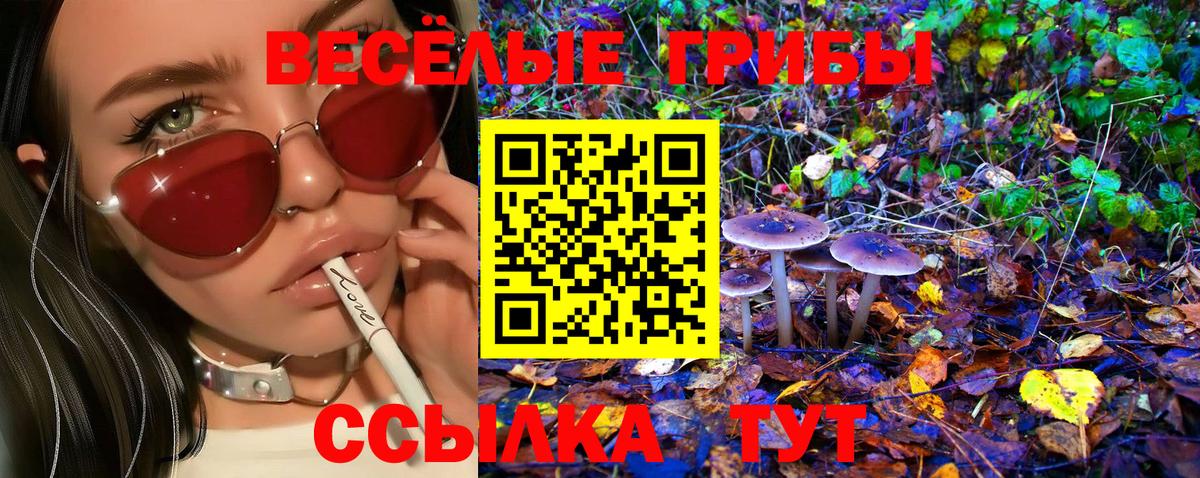 Псилоцибиновые грибы прущие грибы Кыштым