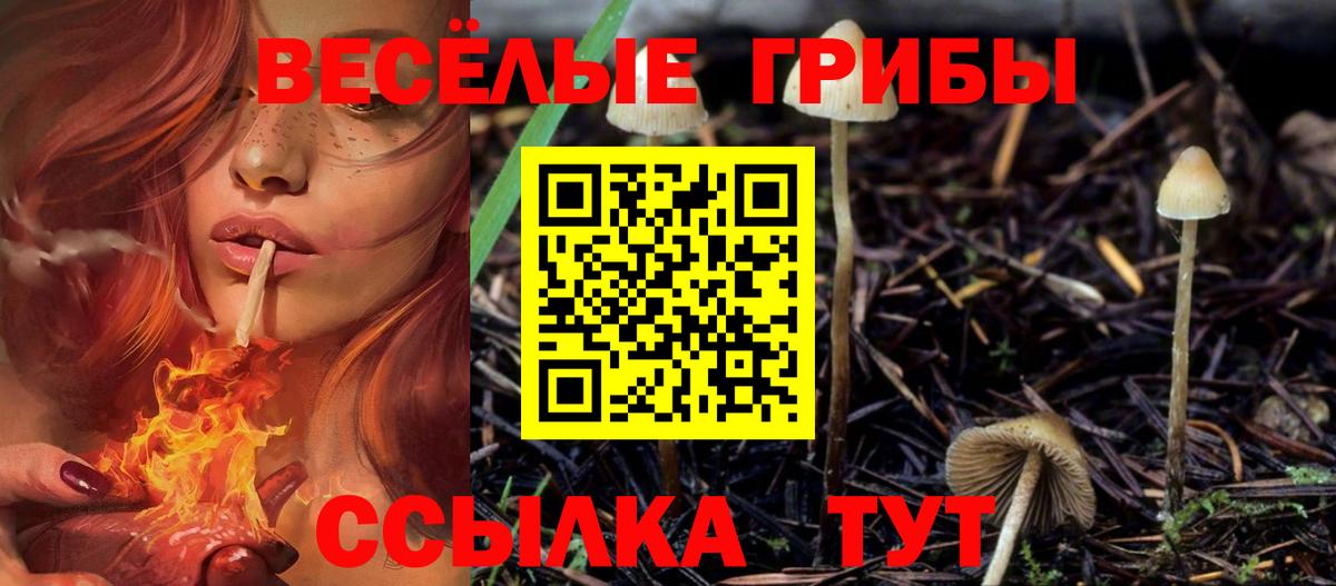 купить  цена  Псилоцибиновые грибы GOLDEN TEACHER  Вход с VPN  Кыштым 